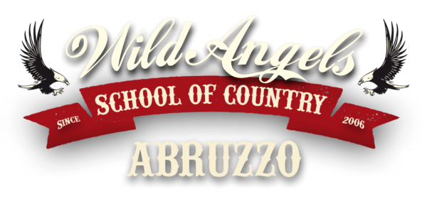 Wild Angels Abruzzo Banner Corsi Stagione 2018 2019